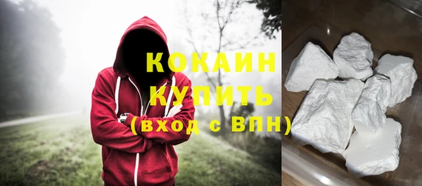 крисы Алзамай