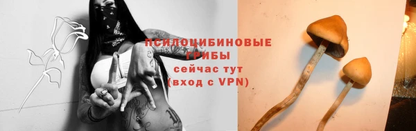сатива Алексеевка