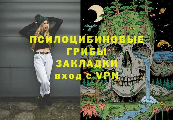 сатива Алексеевка