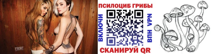 Псилоцибиновые грибы мицелий  Орехово-Зуево 